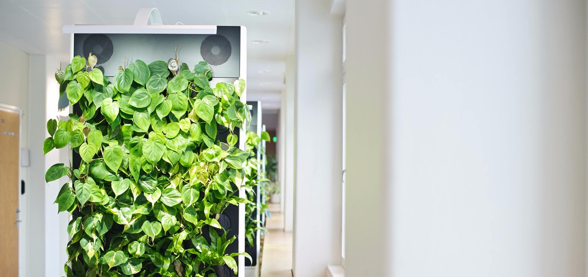 hanken-hallway-naavas-hero.jpg