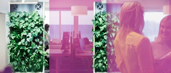 AstraZeneca-curtains-hero.jpg
