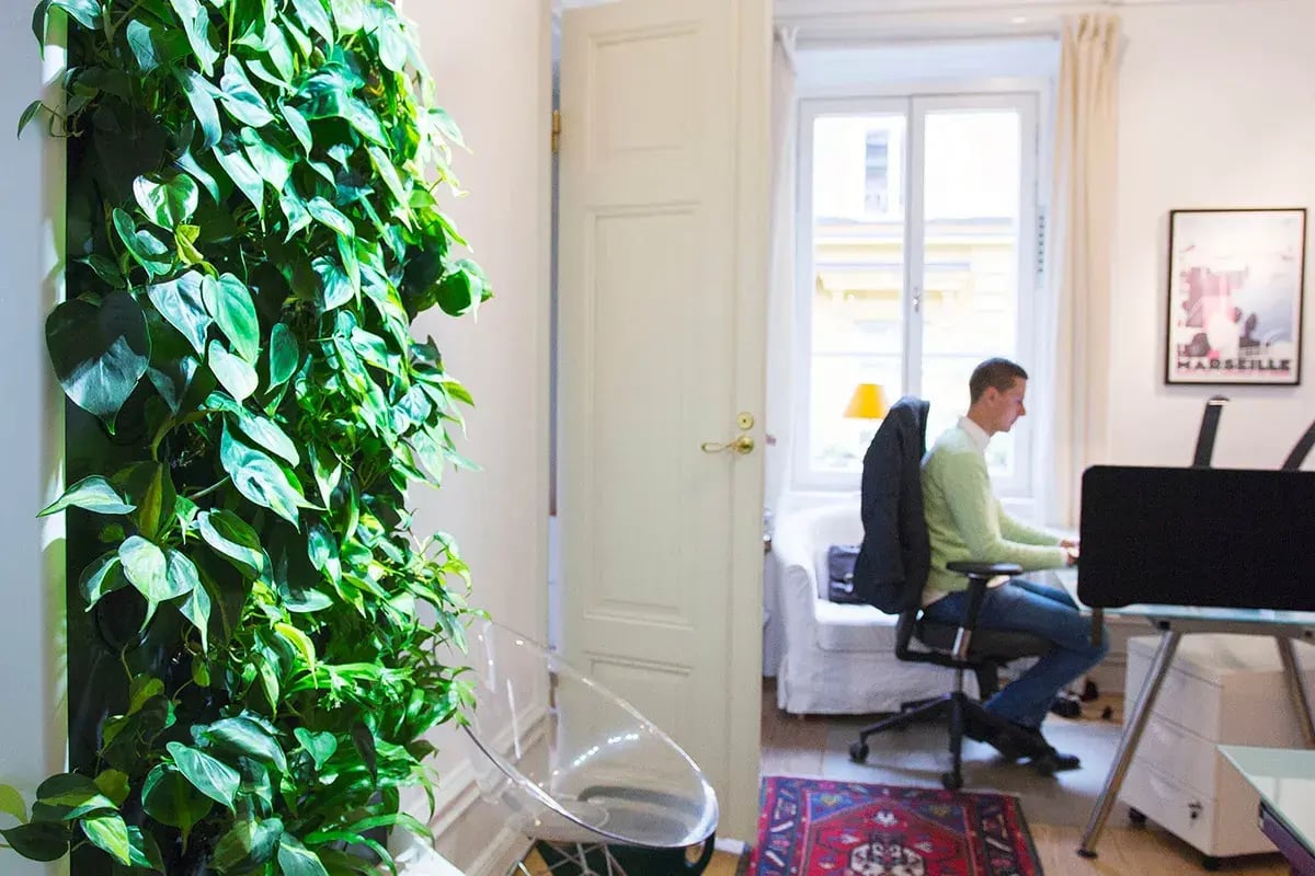 30052017-Bohmans-04 compressed