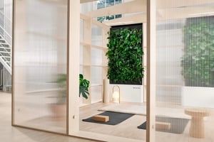 Naava Oasis event hero