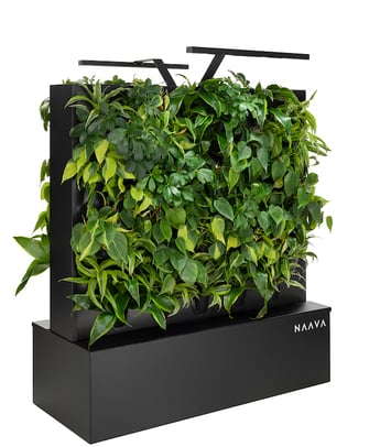 naava-flow-duo-black-front