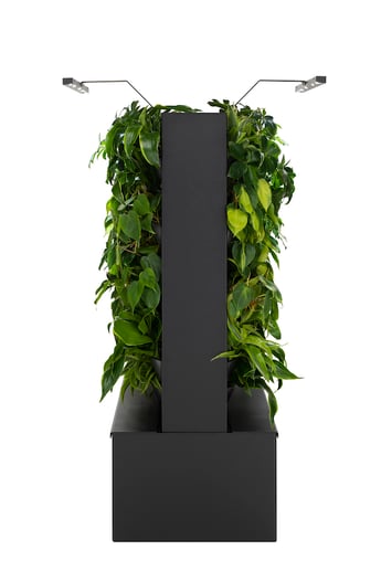 naava-flow-duo-black