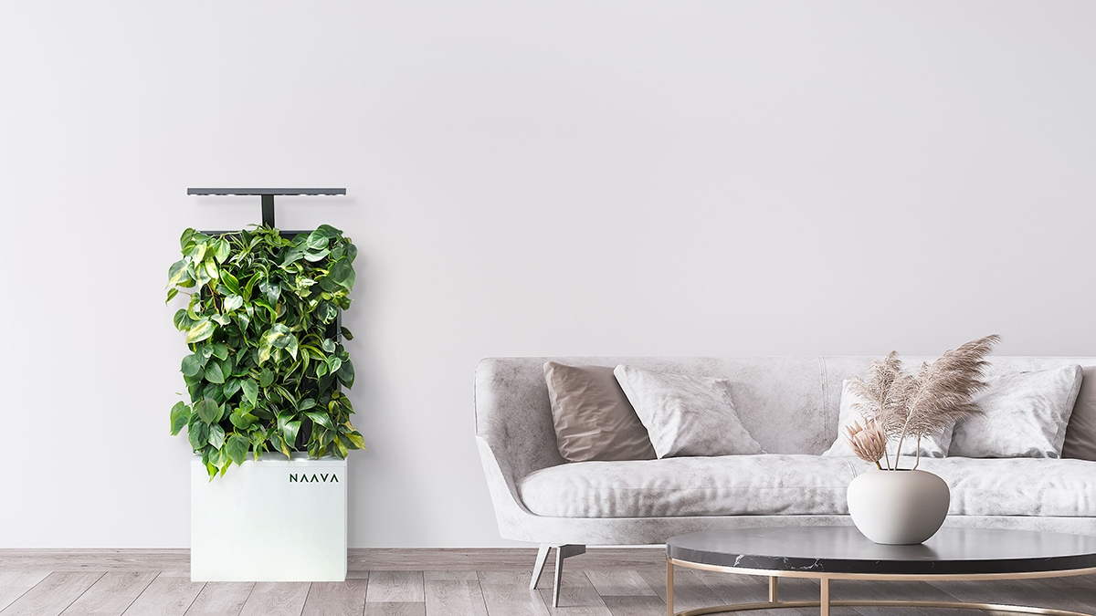 Naava planter