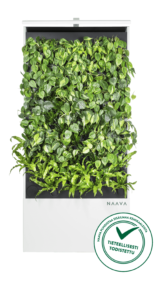 Naava tieteellisesti todistettu