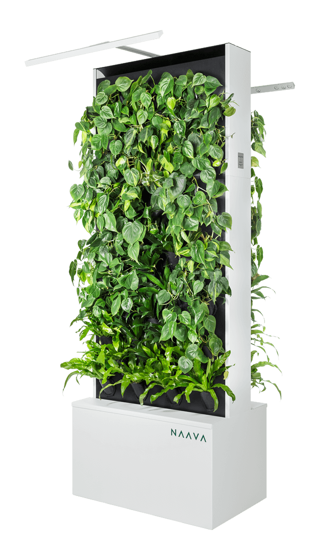 Green Walls Naava