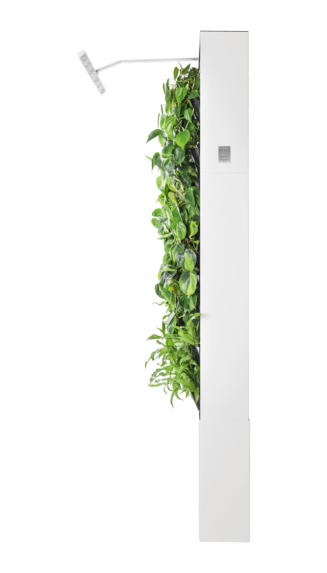 Naava One Slim valkoinen