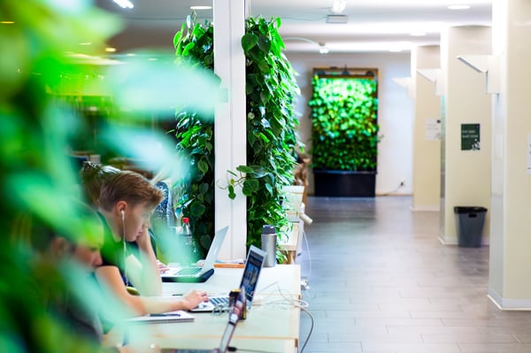 Hanken-library-Naava-hero.jpg