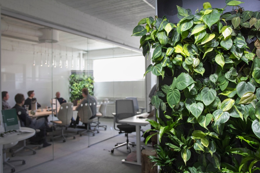 Naava's Maria office.