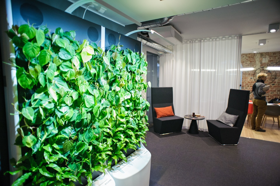 Next Games invested in Naava green walls to create the best possible environment