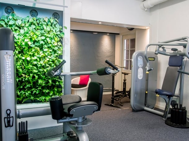 Ett gym med grönska inomhus skriker välmående.