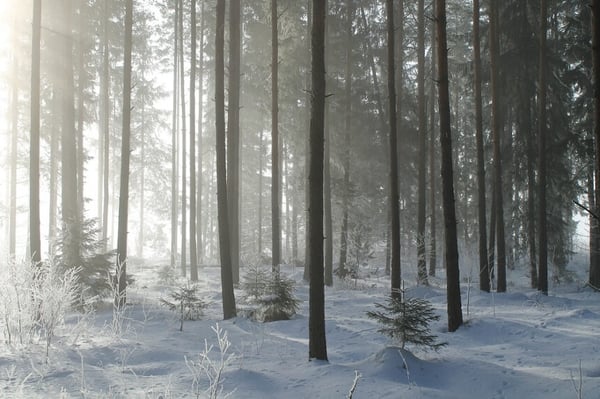 Relative humidity indoors drops significantly during winter, causing flu like symptoms.