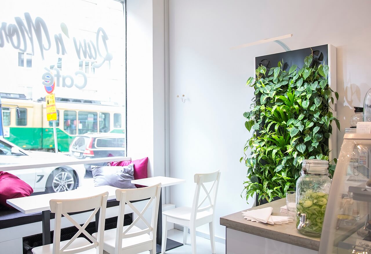 Raw 'n More with Naava green wall