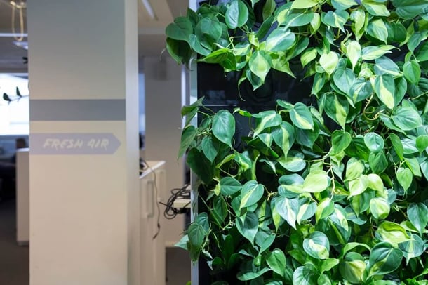 GroupM provides fresh air to its employees with Naava. 