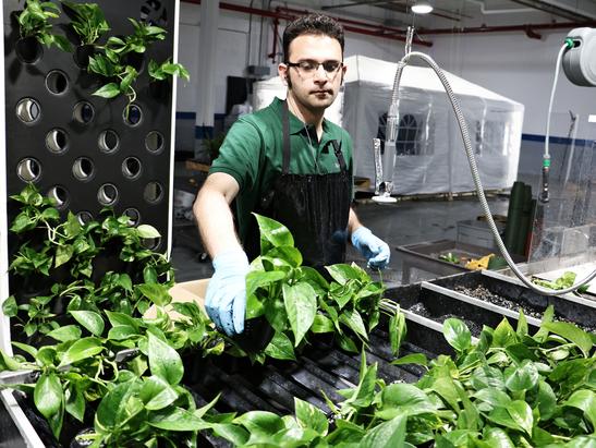Plant production at Naava's New Jersey factory. 