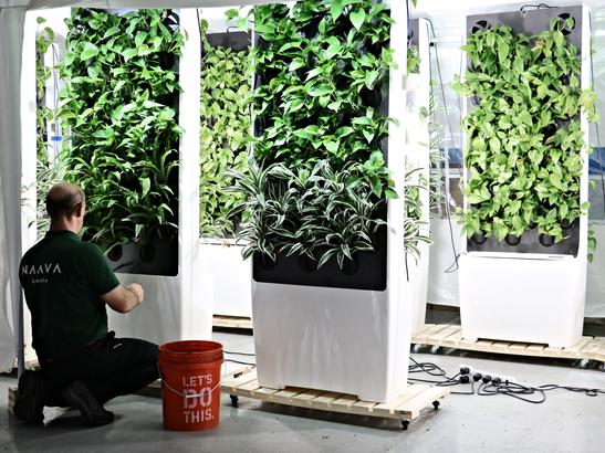 Kauppalehti-Naava-NJ-production.jpg