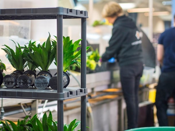 Plant production.