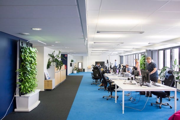 JCDecaux now has Naava smart green walls in various office spaces.