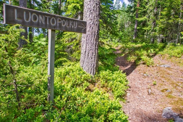 Laita lenkkitossut jalkaan ja suuntaa luontopolulle.