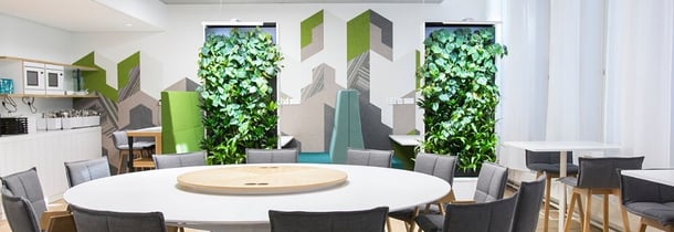 Biophilic design endorses visual contact with nature.