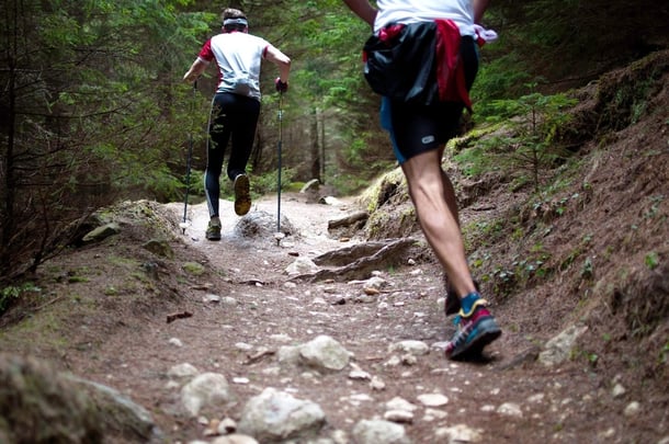 En motionsrunda i skogen. Bild: David Marcu.