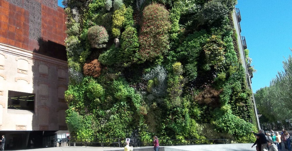 Outdoor green wall in Madrid, designed by Patric Blanc. (Mike Dixon / CC BY-SA 4.0)