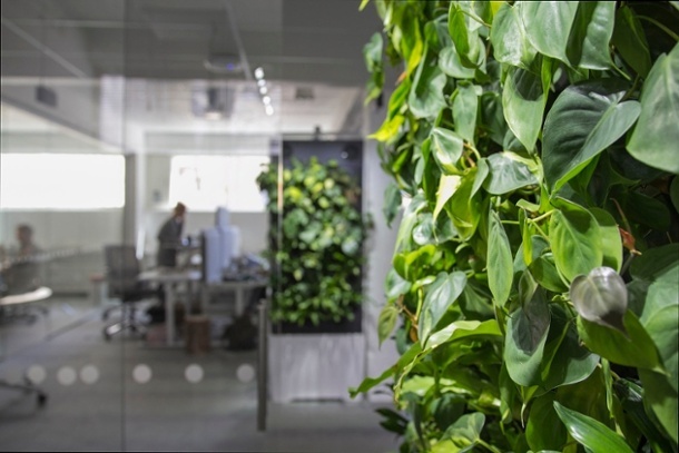 naava-viherseina-lahelta