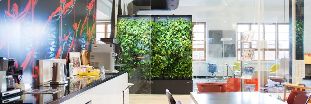 Pigga upp ditt arbetsutrymme med en smart Naava växtvägg.