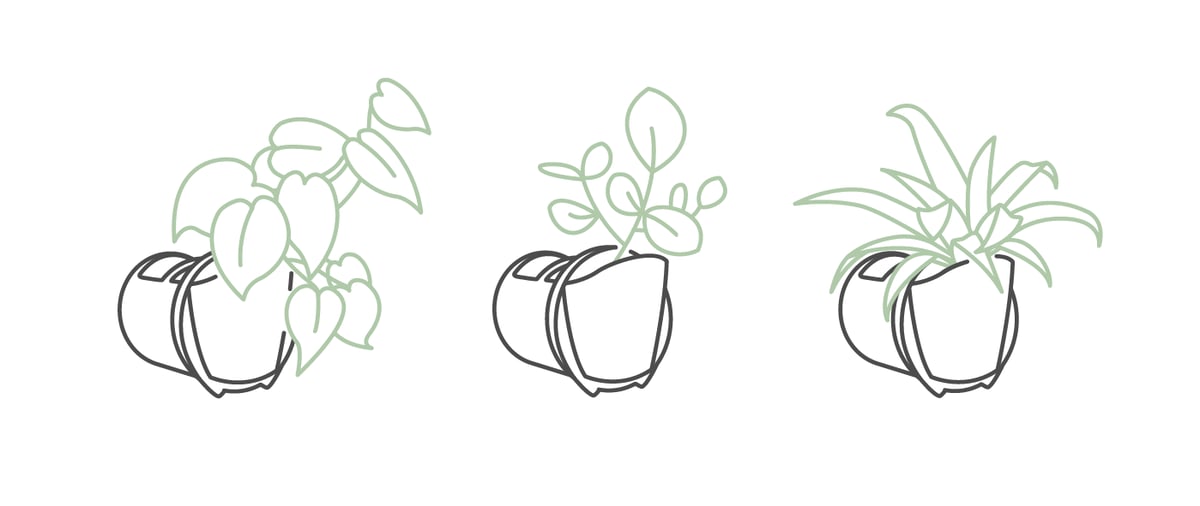 viherseinan-esimerkkikasvit