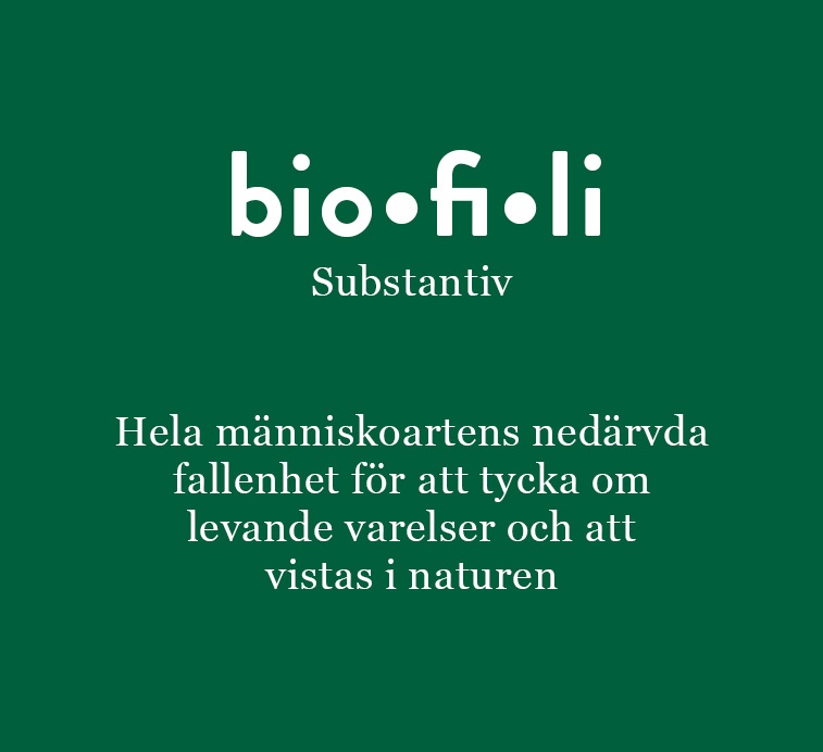 biofili-definition