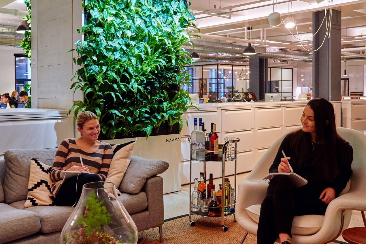 At Nike Communications, Naavas work as a biophilic element.