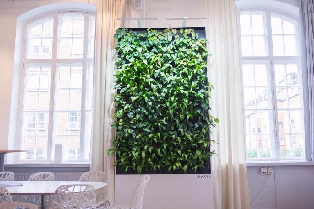 AWL-Naava-Designer-from-front-windows