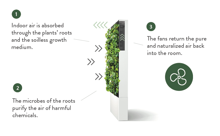 Naava biofiltration, natural air purification process