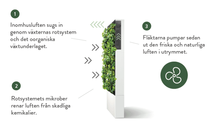 Naava biofiltrering, en naturlig luftrengöringsprocess