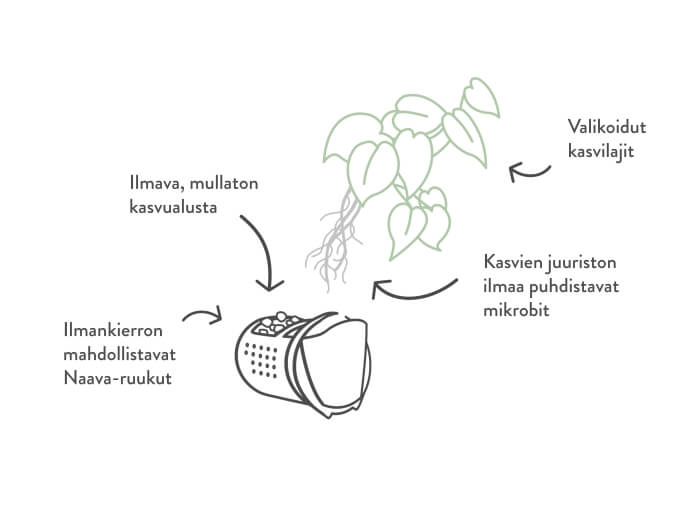 Naava-biofiltteri, luonnollinen ilmanpuhdistaja