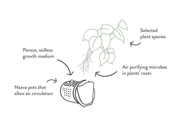 Naava biofilter