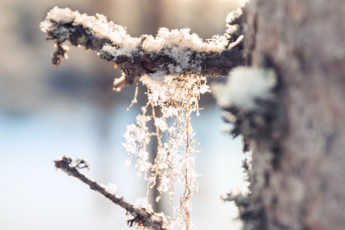 Mission Vision_Winter (5)_web2