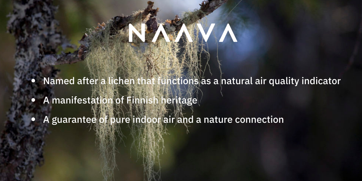 Naava named after a lichen 1200x600px