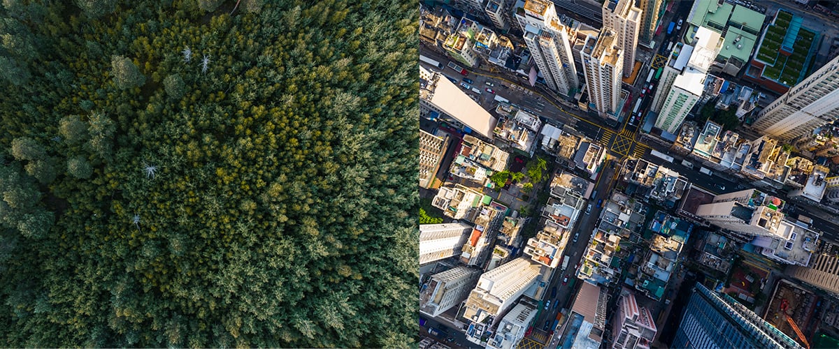 City-vs-Nature