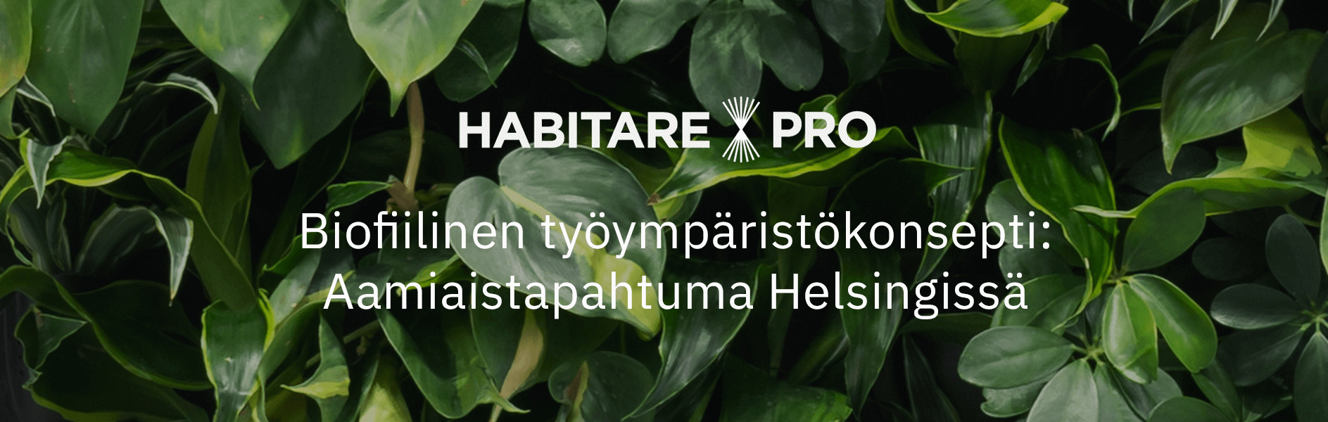 Habitare Pro Aamiaistapahtuma 14.9. Naava Showroom