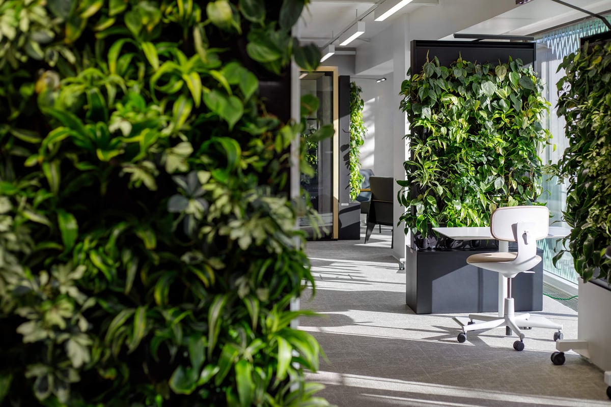 Naava Showroom Swan (1)