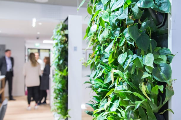 SEB har investerat i välmående till exempel genom att installera Naava smarta växtväggar.