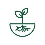 naava-icon-collection-24