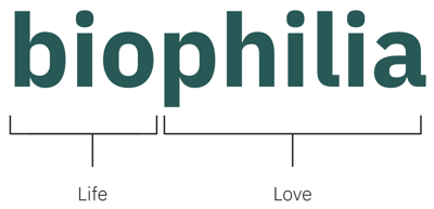 what is biophilia