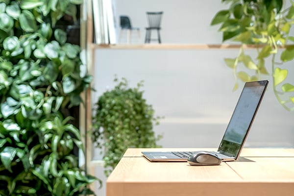 Naava Oasis_mood (4)_web