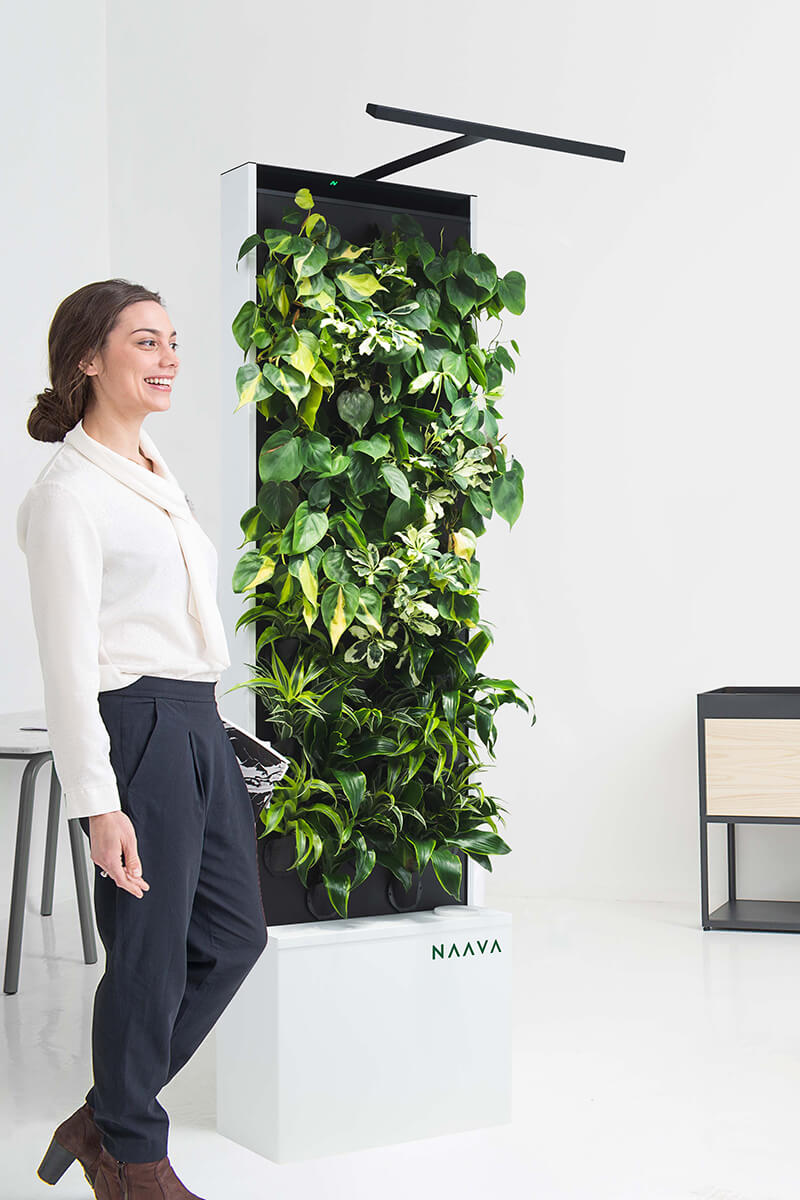 Naava One design green wall