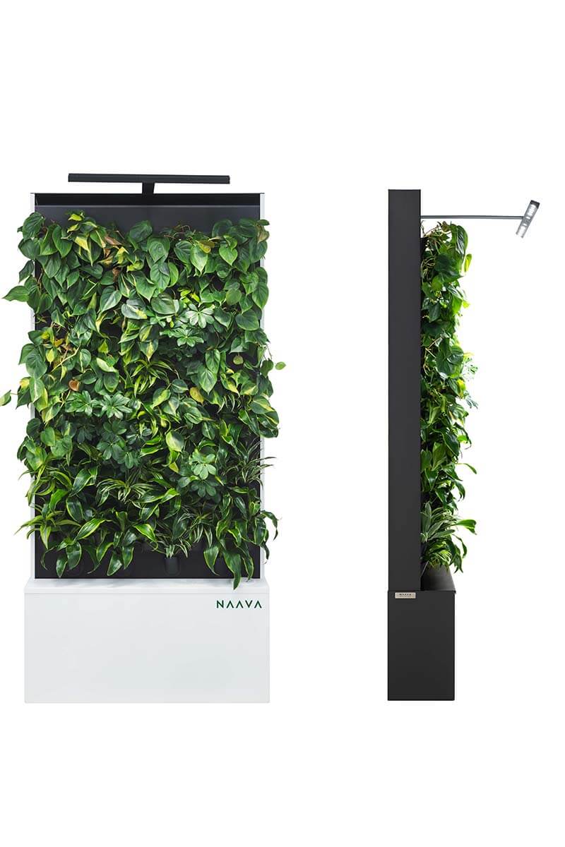 Naava One green wall models