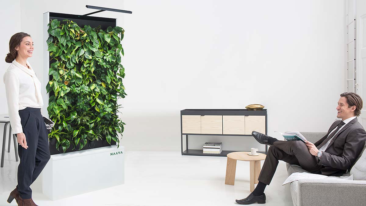 Naava air purifying green walls