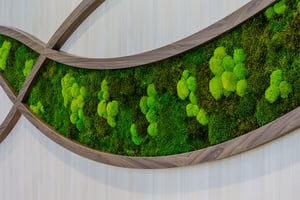 naava-mosswall