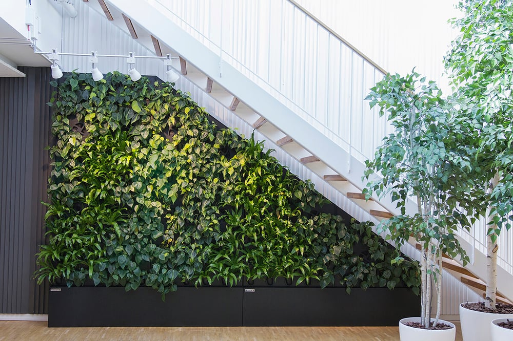 Räätälöity kasviseinä