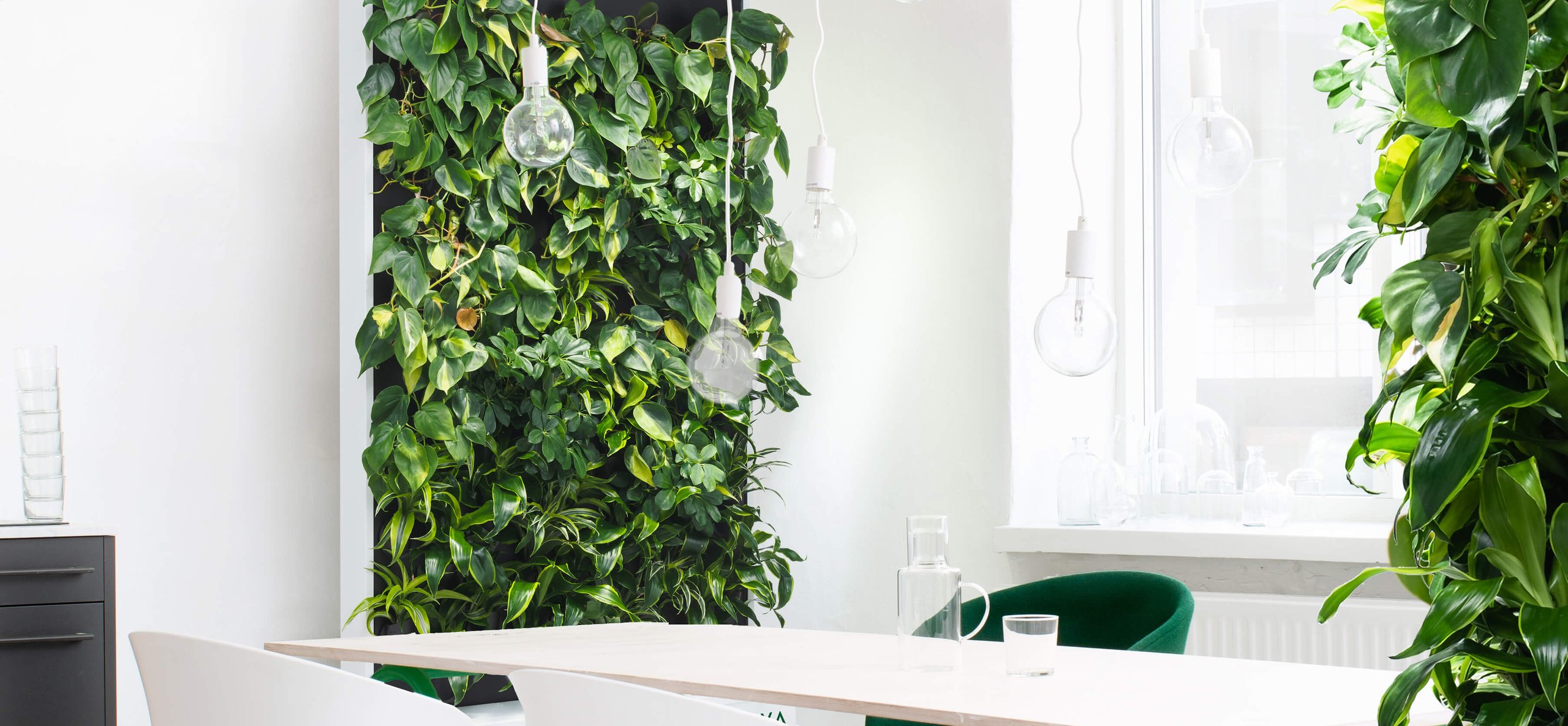 Naava Green Wall biophilic Design-1